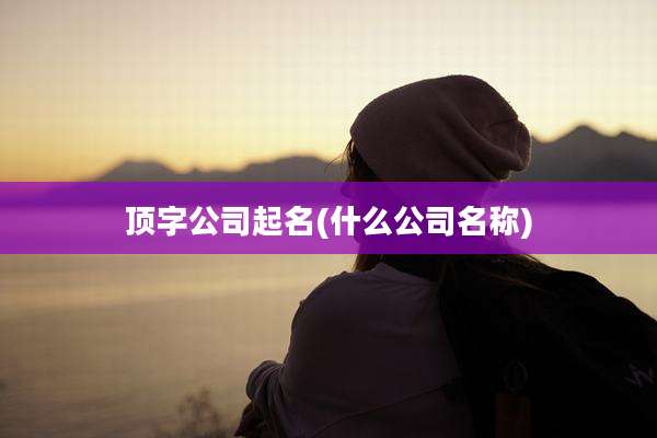 顶字公司起名(什么公司名称)