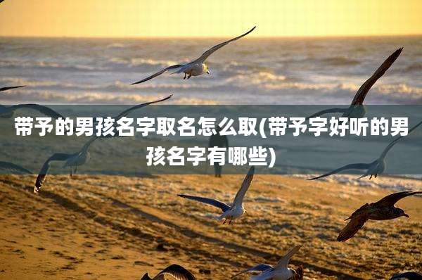 带予的男孩名字取名怎么取(带予字好听的男孩名字有哪些)