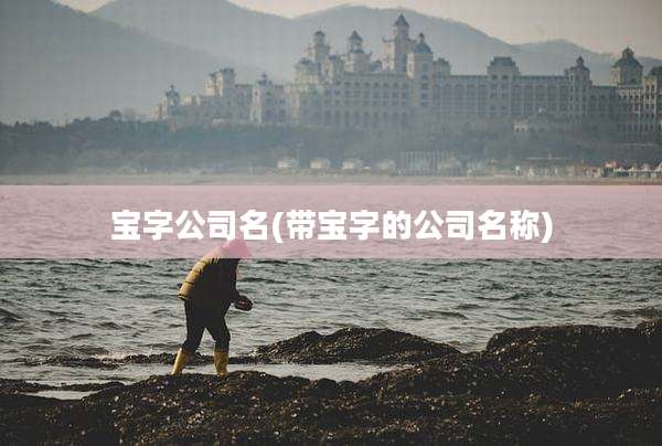 宝字公司名(带宝字的公司名称)