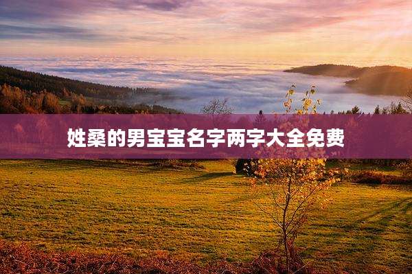 姓桑的男宝宝名字两字大全免费