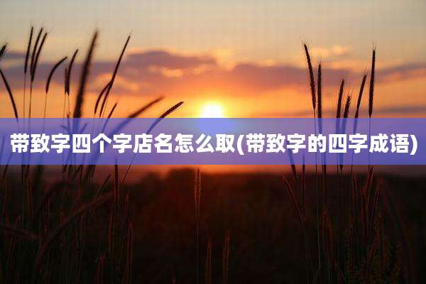 带致字四个字店名怎么取(带致字的四字成语)