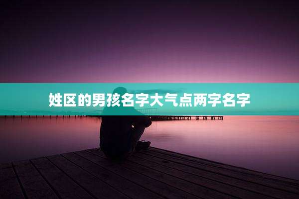 姓区的男孩名字大气点两字名字