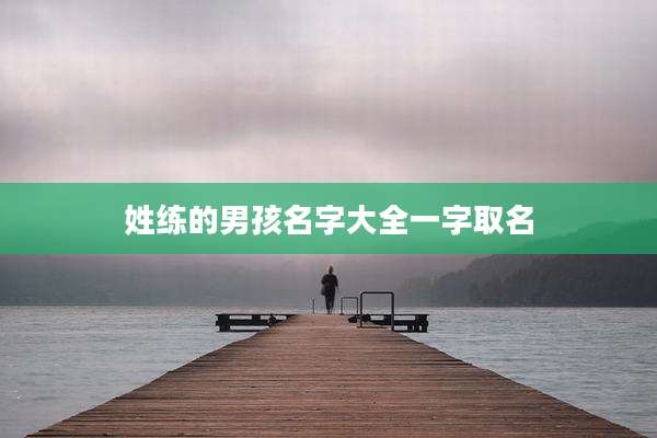 姓练的男孩名字大全一字取名
