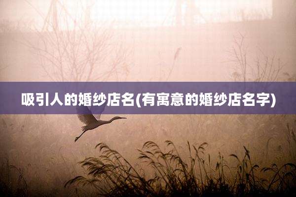 吸引人的婚纱店名(有寓意的婚纱店名字)
