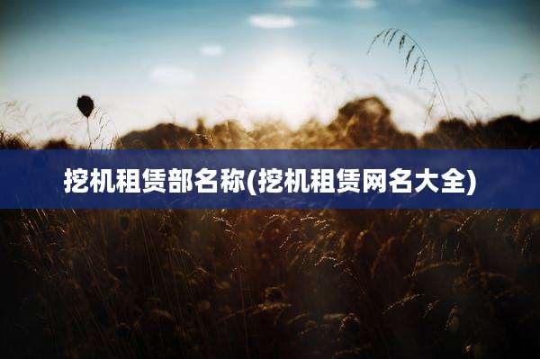 挖机租赁部名称(挖机租赁网名大全)