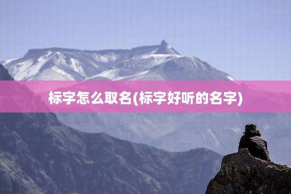 标字怎么取名(标字好听的名字)