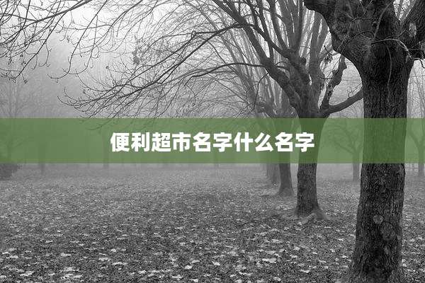 便利超市名字什么名字
