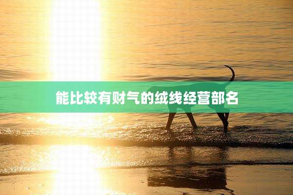 能比较有财气的绒线经营部名