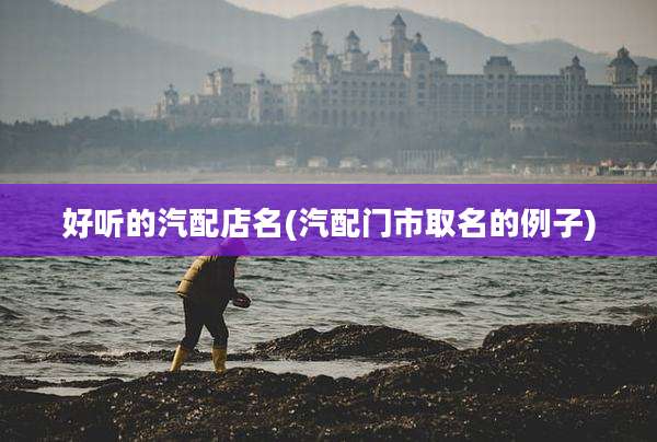 好听的汽配店名(汽配门市取名的例子)