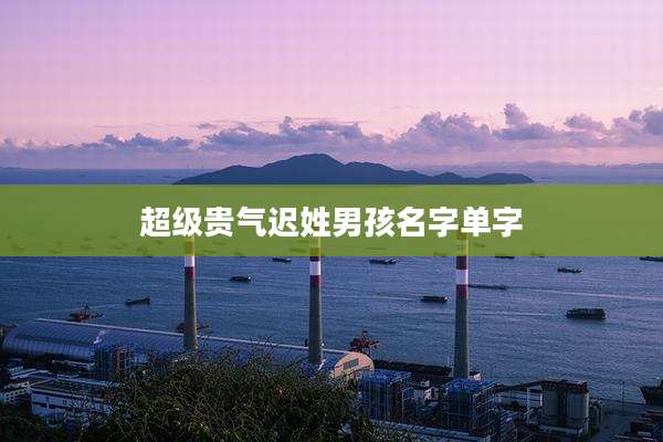 超级贵气迟姓男孩名字单字