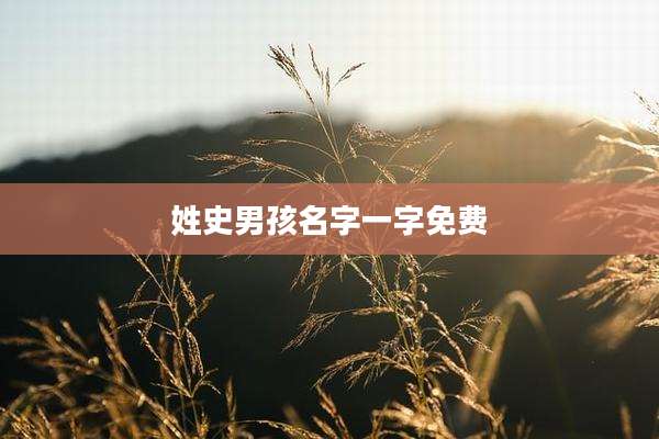 姓史男孩名字一字免费