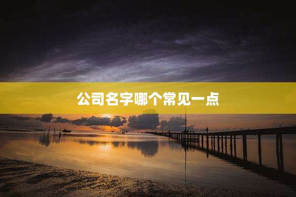 公司名字哪个常见一点
