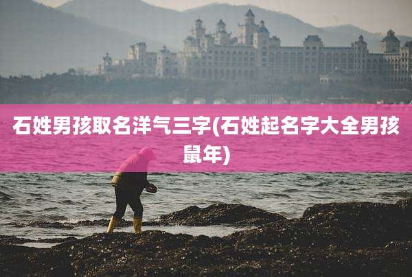 石姓男孩取名洋气三字(石姓起名字大全男孩鼠年)