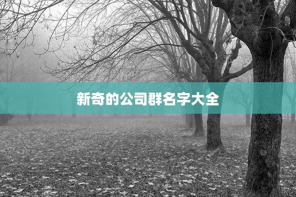 新奇的公司群名字大全