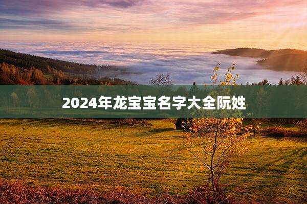 2024年龙宝宝名字大全阮姓