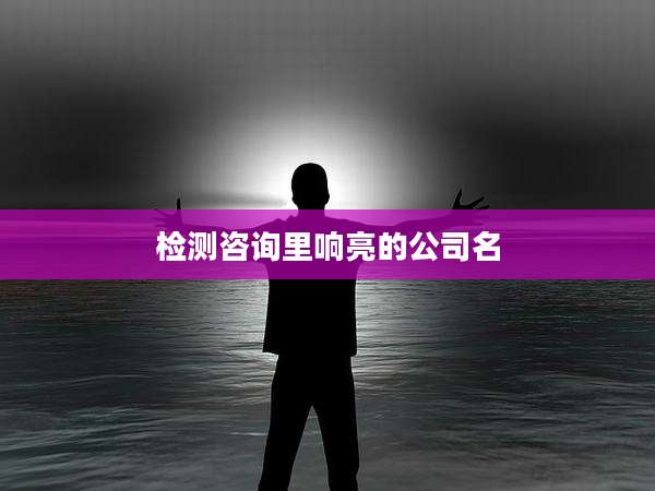 检测咨询里响亮的公司名