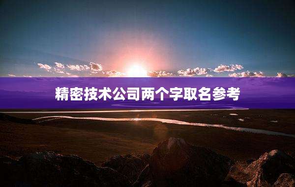 精密技术公司两个字取名参考