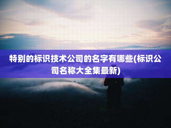 特别的标识技术公司的名字有哪些(标识公司名称大全集最新)