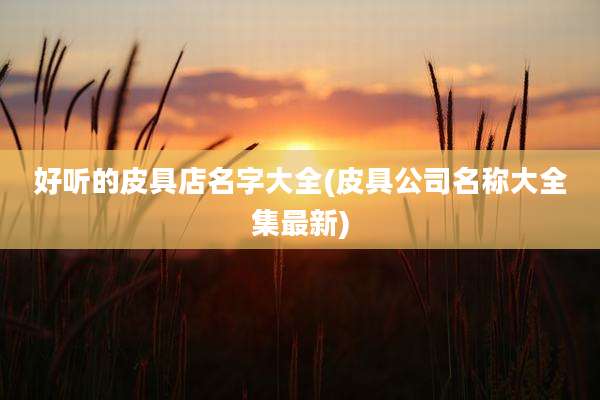 好听的皮具店名字大全(皮具公司名称大全集最新)