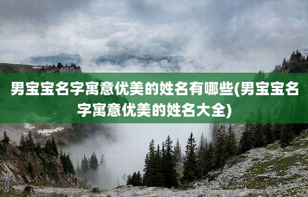 男宝宝名字寓意优美的姓名有哪些(男宝宝名字寓意优美的姓名大全)