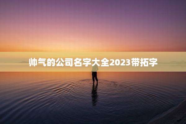 帅气的公司名字大全2023带拓字