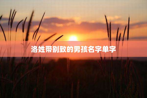 洛姓带别致的男孩名字单字