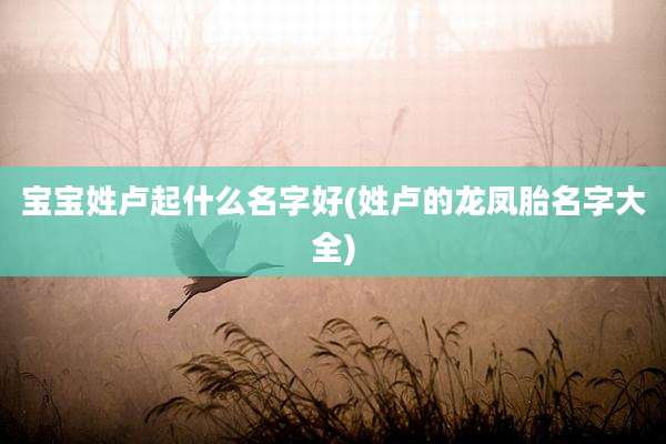 宝宝姓卢起什么名字好(姓卢的龙凤胎名字大全)