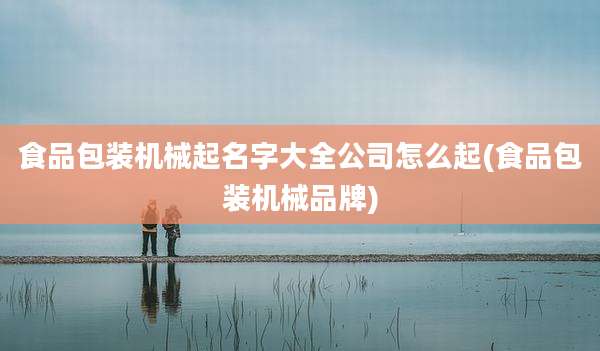 食品包装机械起名字大全公司怎么起(食品包装机械品牌)