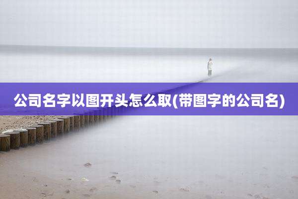 公司名字以图开头怎么取(带图字的公司名)