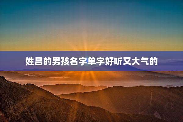 姓吕的男孩名字单字好听又大气的
