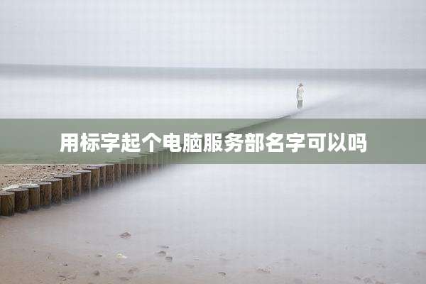 用标字起个电脑服务部名字可以吗