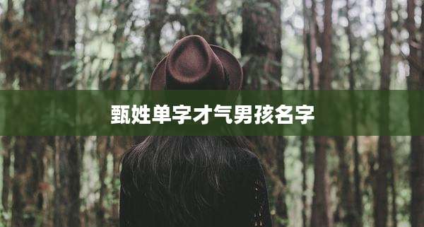 甄姓单字才气男孩名字