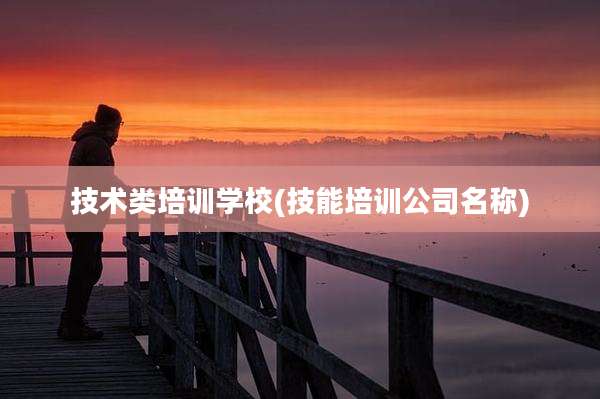 技术类培训学校(技能培训公司名称)