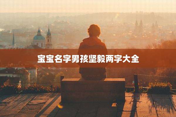 宝宝名字男孩坚毅两字大全
