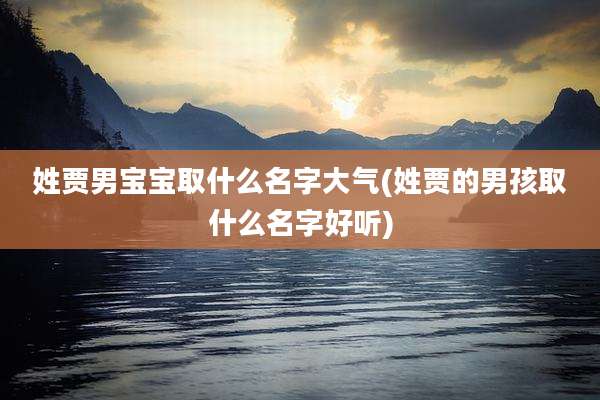 姓贾男宝宝取什么名字大气(姓贾的男孩取什么名字好听)
