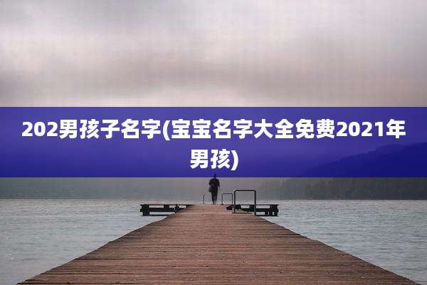 202男孩子名字(宝宝名字大全免费2021年男孩)