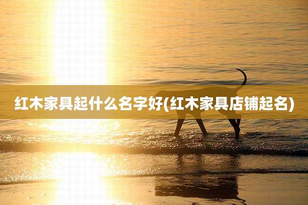 红木家具起什么名字好(红木家具店铺起名)