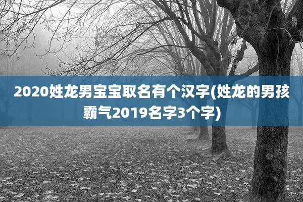 2020姓龙男宝宝取名有个汉字(姓龙的男孩霸气2019名字3个字)