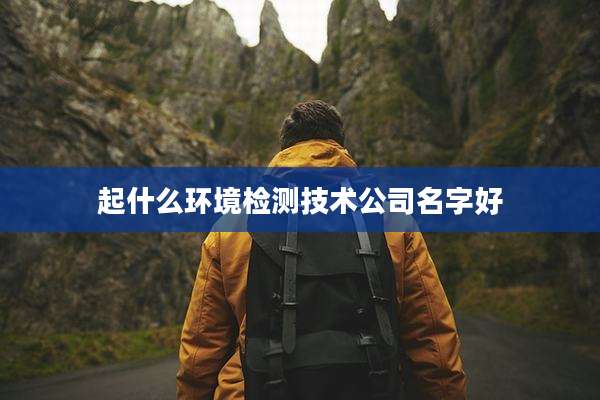 起什么环境检测技术公司名字好