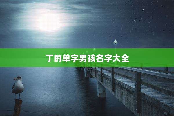 丁的单字男孩名字大全