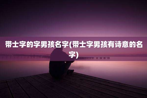 带士字的字男孩名字(带士字男孩有诗意的名字)