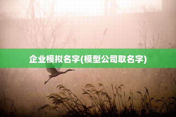 企业模拟名字(模型公司取名字)