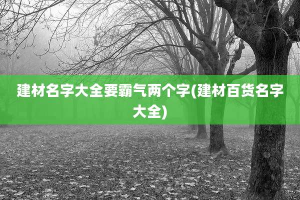 建材名字大全要霸气两个字(建材百货名字大全)