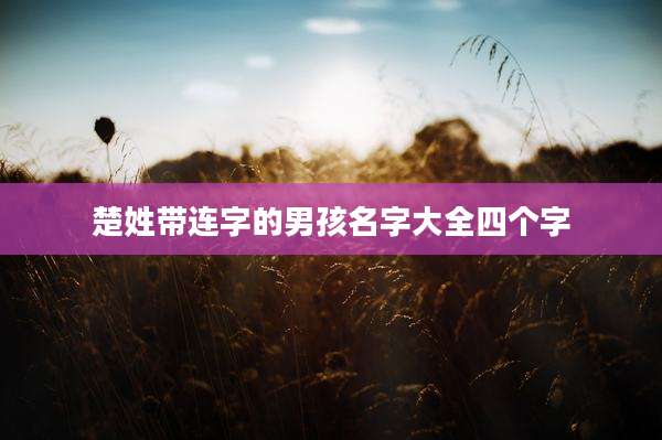 楚姓带连字的男孩名字大全四个字