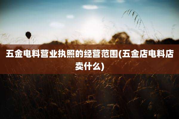 五金电料营业执照的经营范围(五金店电料店卖什么)