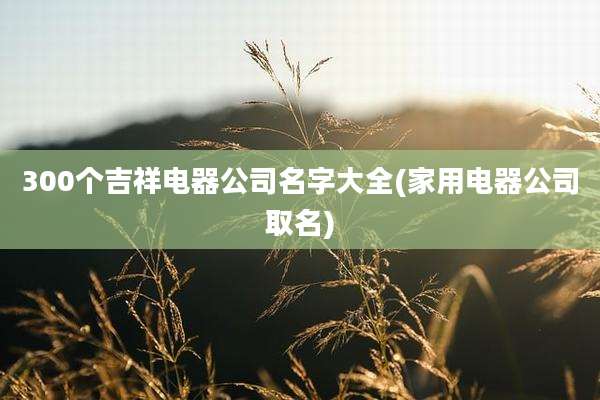 300个吉祥电器公司名字大全(家用电器公司取名)