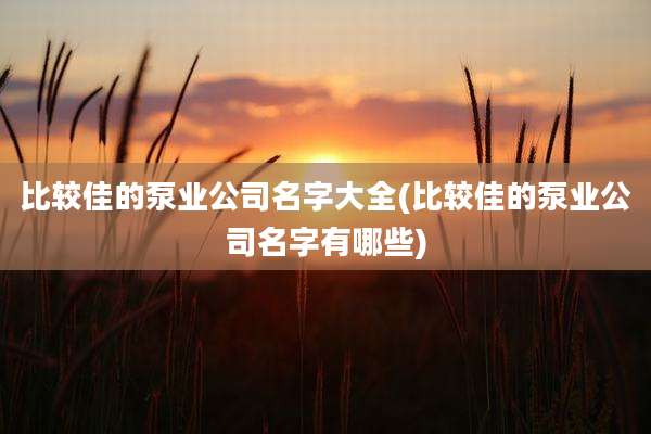 比较佳的泵业公司名字大全(比较佳的泵业公司名字有哪些)
