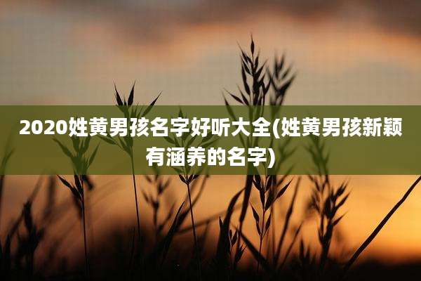 2020姓黄男孩名字好听大全(姓黄男孩新颖有涵养的名字)