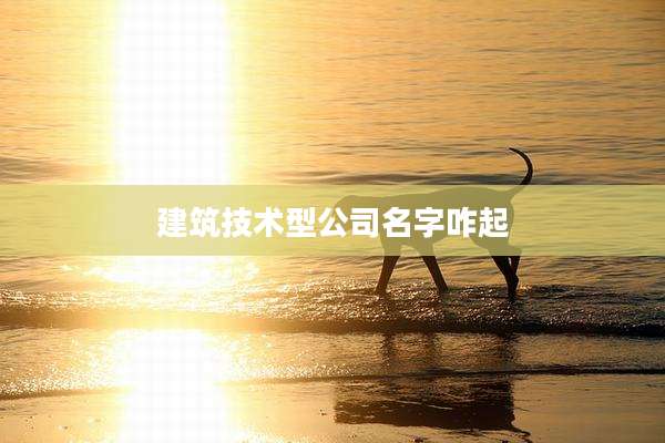 建筑技术型公司名字咋起