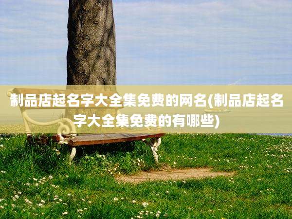 制品店起名字大全集免费的网名(制品店起名字大全集免费的有哪些)